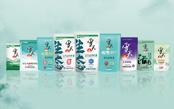 雪天盐业集团股份有限公司