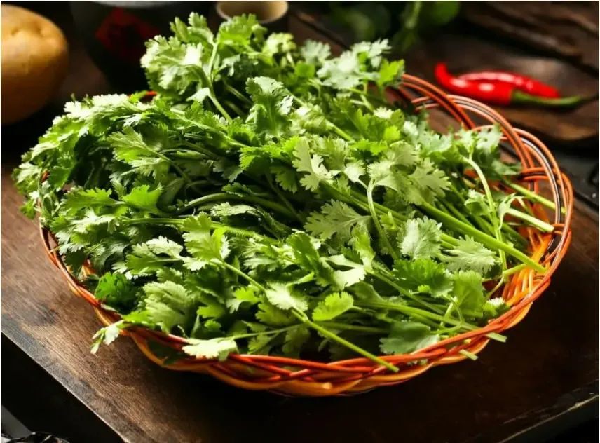 黑红体质的香菜，为什么成了流量之王？