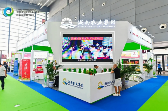 从2016到2025：解码食餐会的进化密码