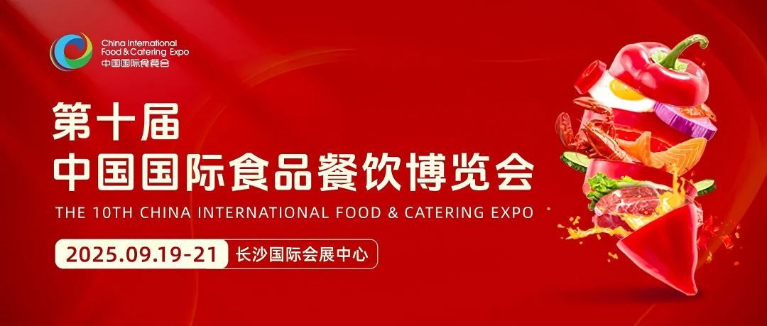 从2016到2025：解码食餐会的进化密码