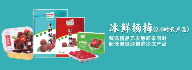 2025长沙食餐会明星企业推荐 | 源梅之家：美味背后的“冰点魔法师”，让每一口都如初摘般新鲜